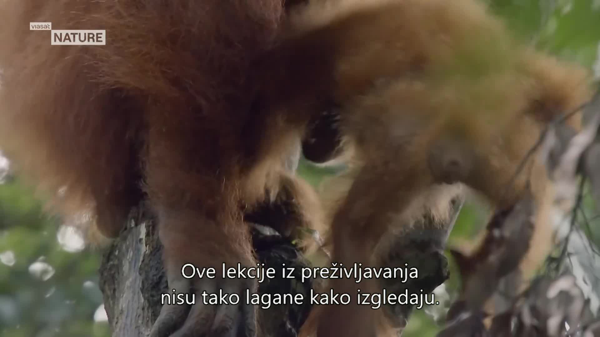 ViasatNature