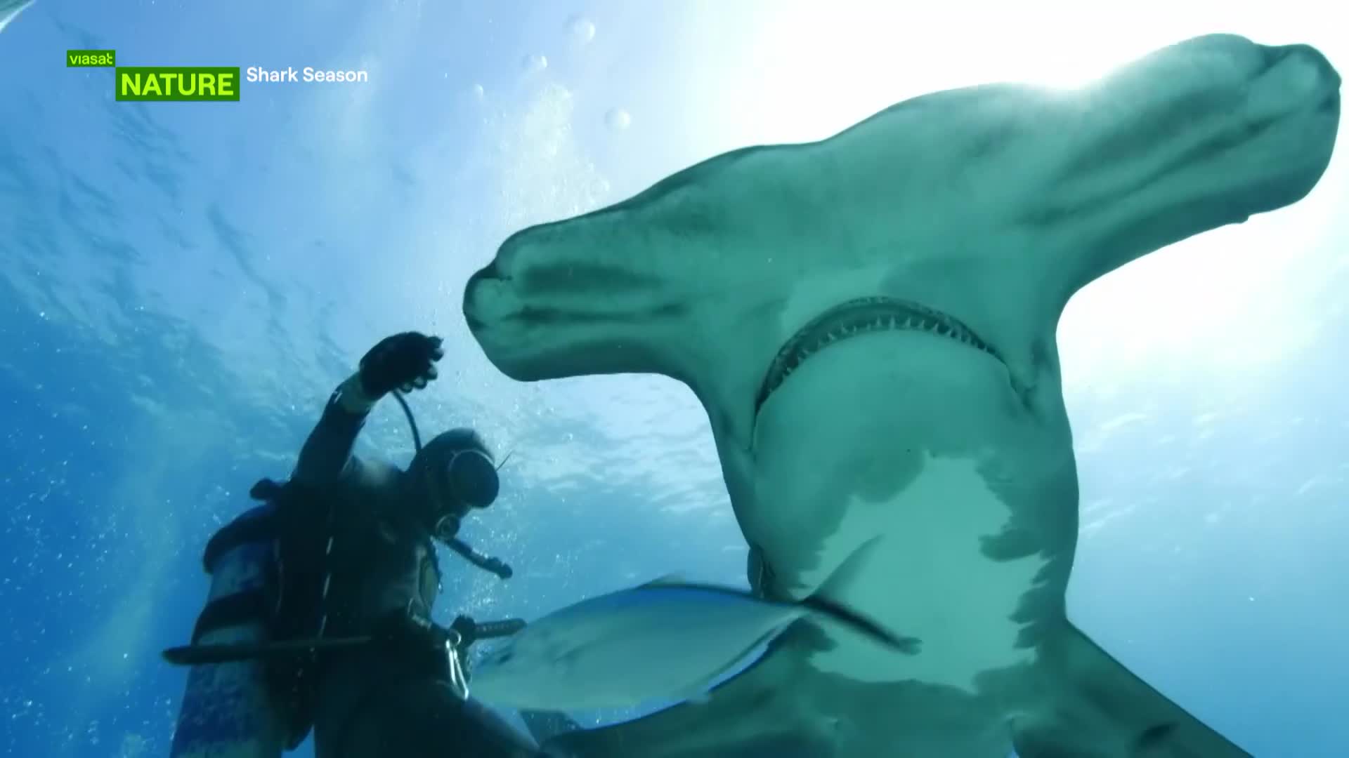 ViasatNature