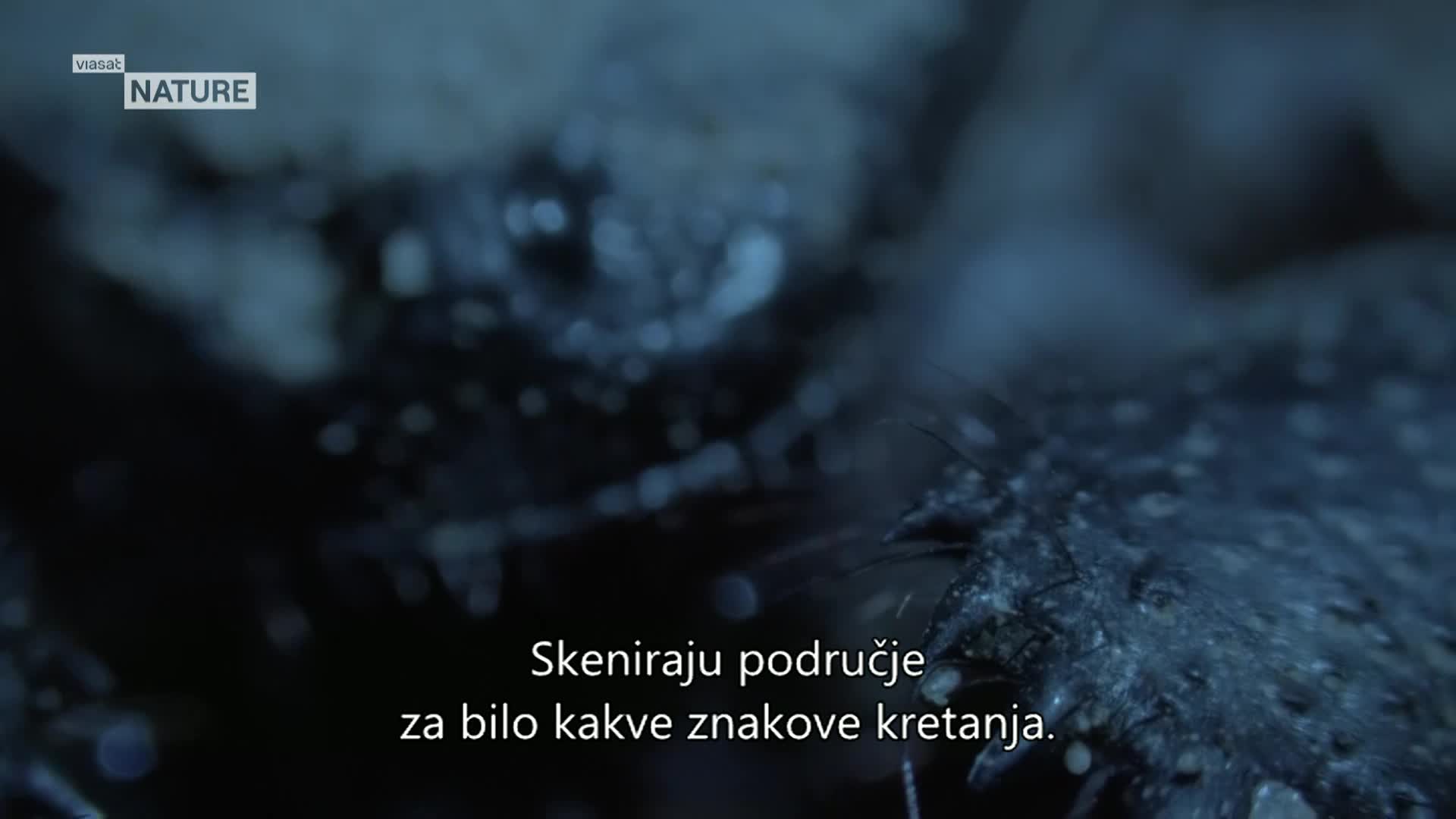 ViasatNature