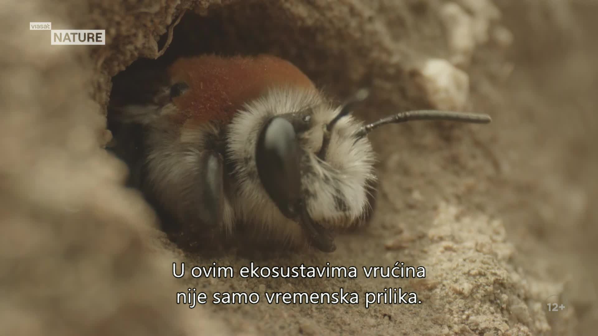 ViasatNature