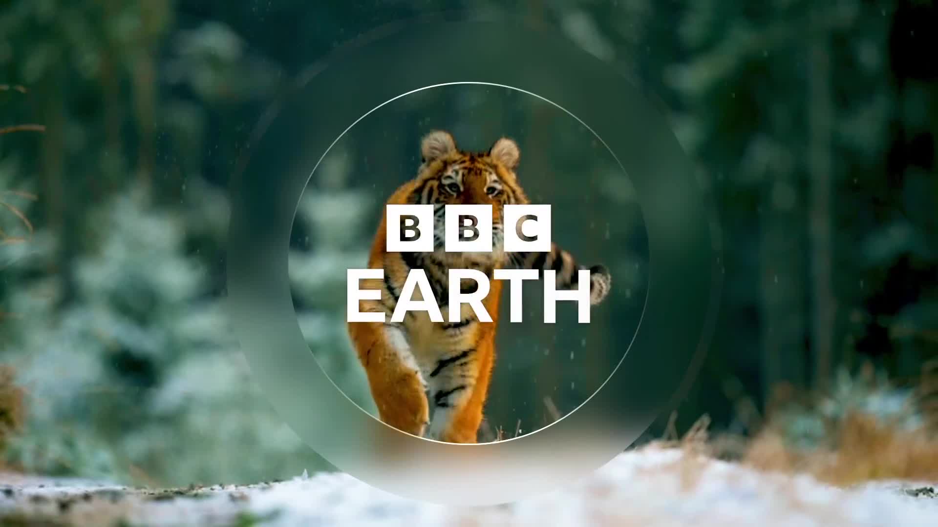 BBCEarth