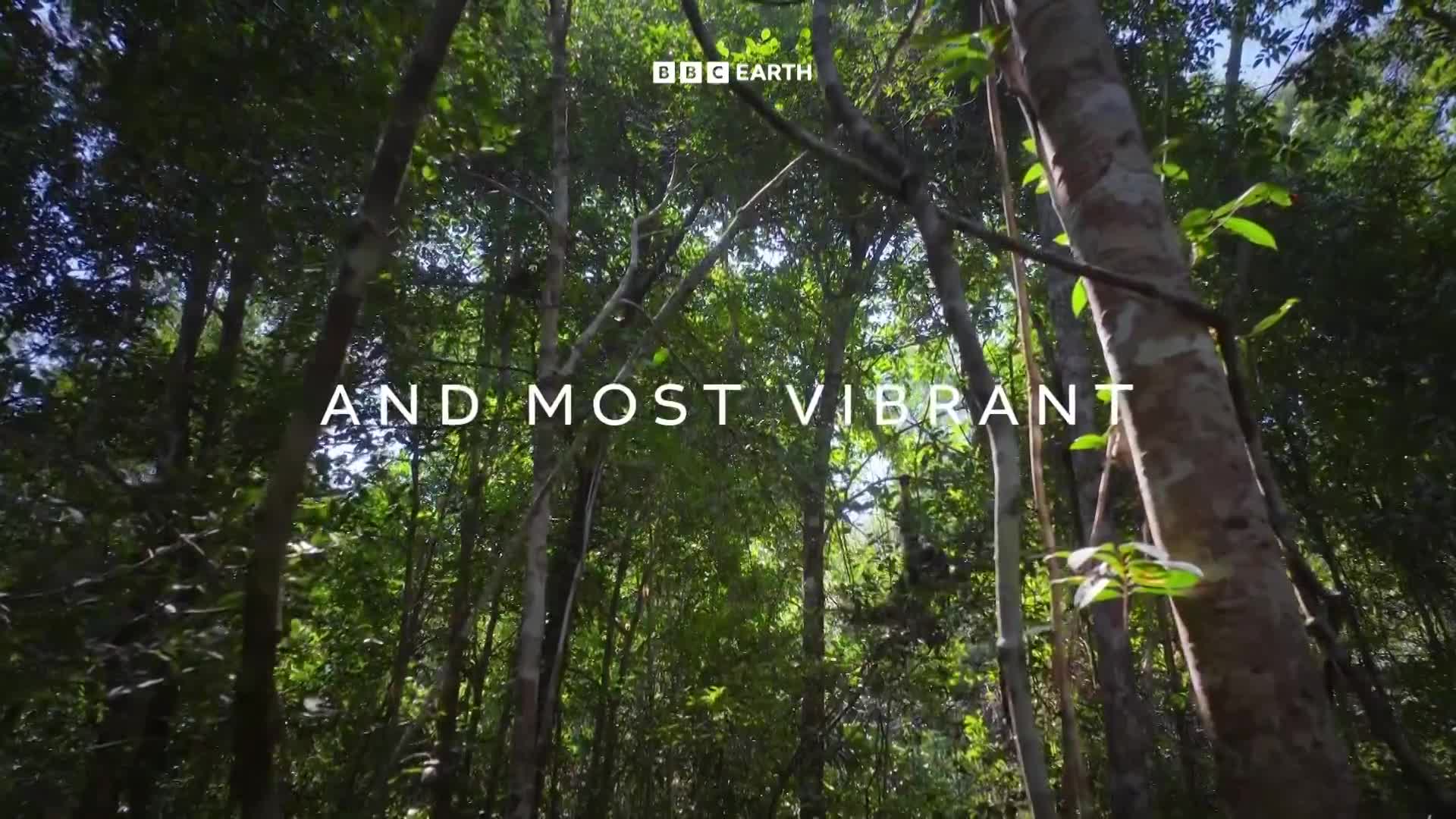 BBCEarth