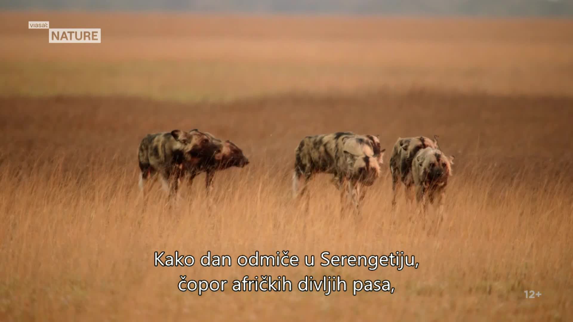 ViasatNature