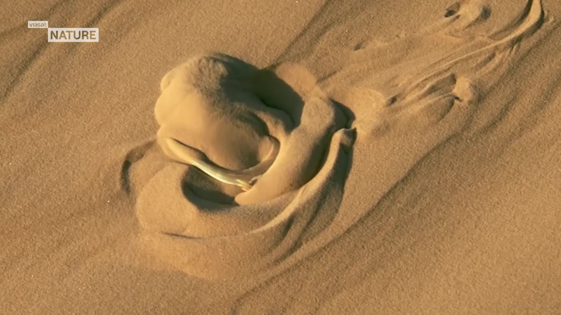 ViasatNature