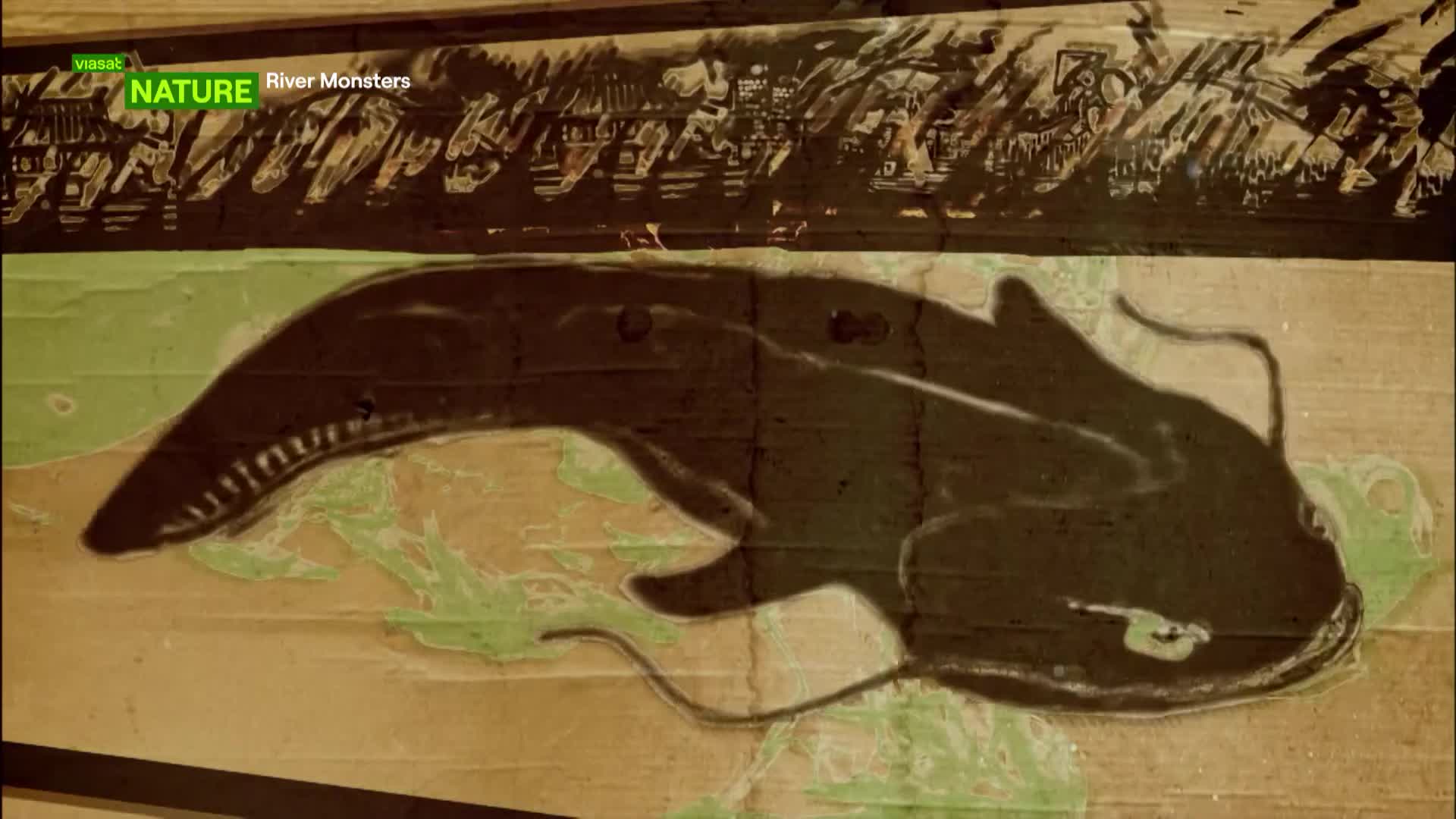 ViasatNature