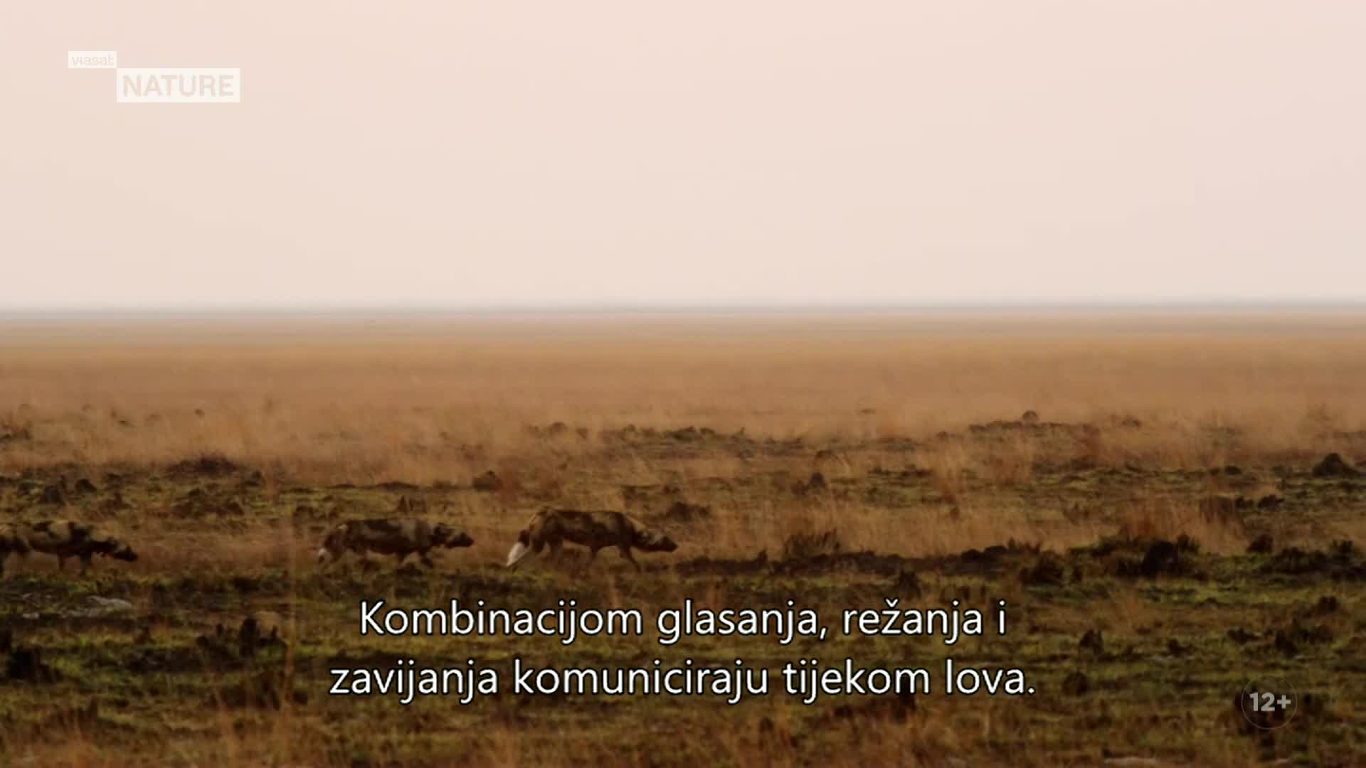 ViasatNature