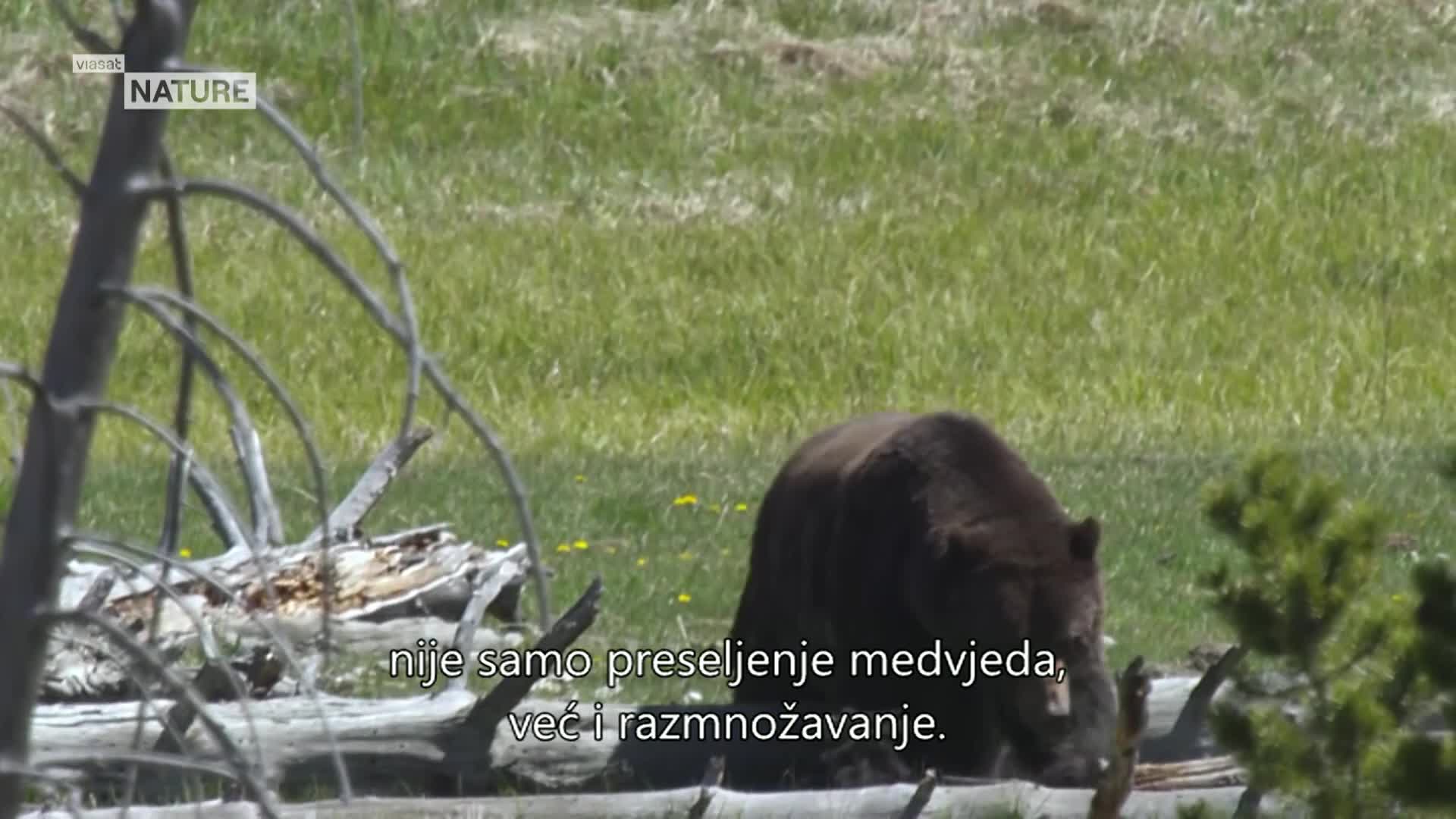 ViasatNature