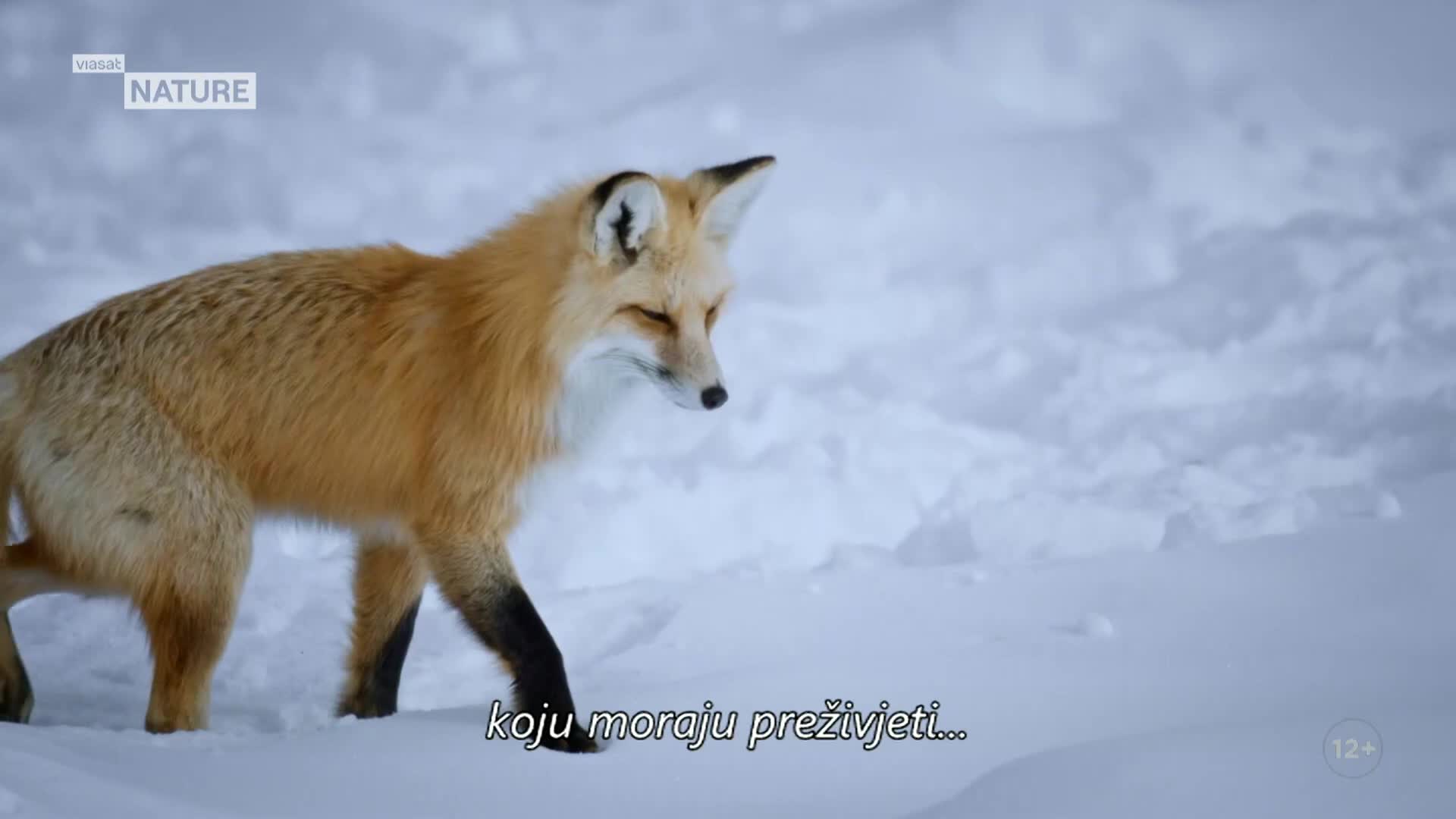 ViasatNature