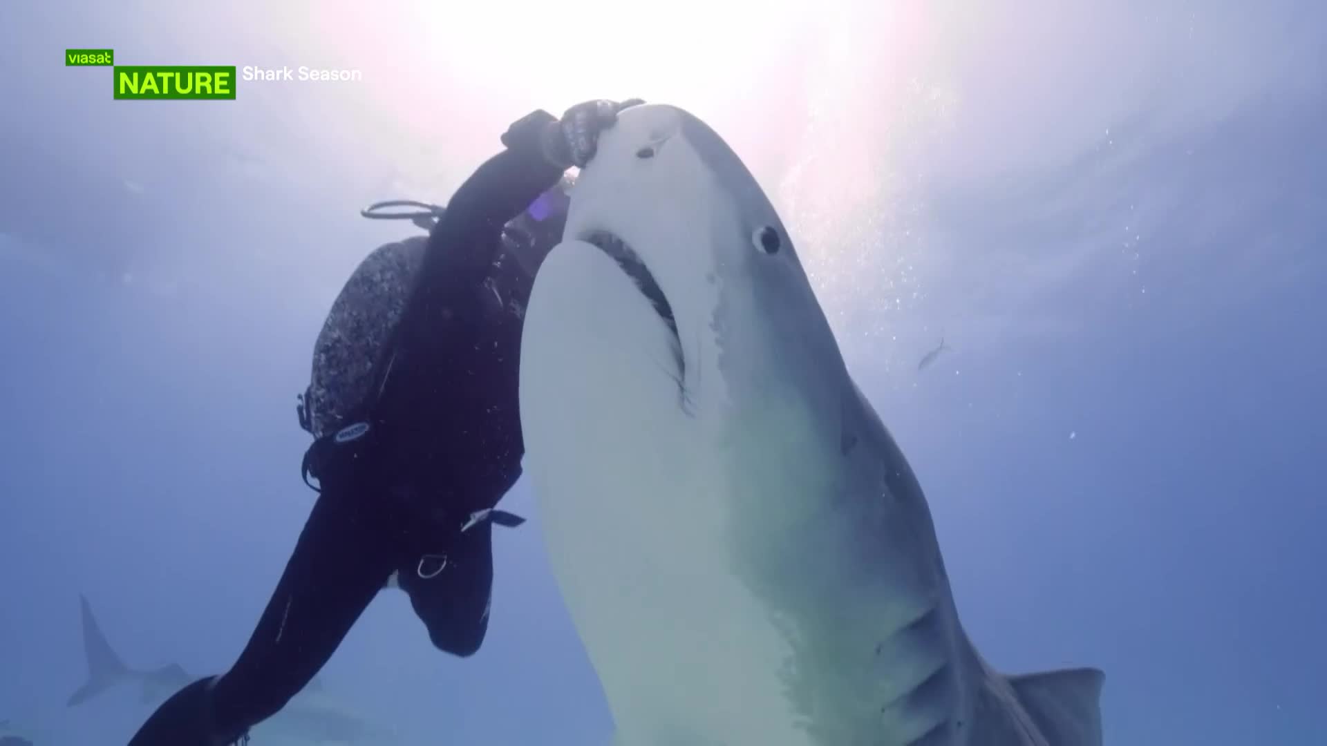 ViasatNature