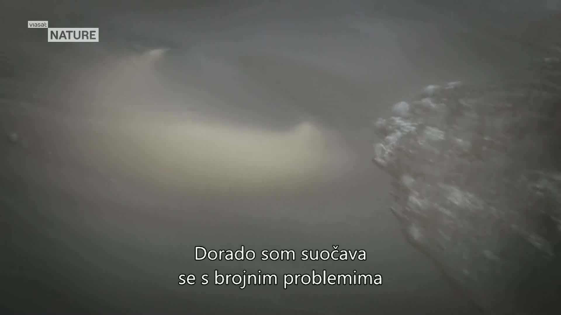 ViasatNature