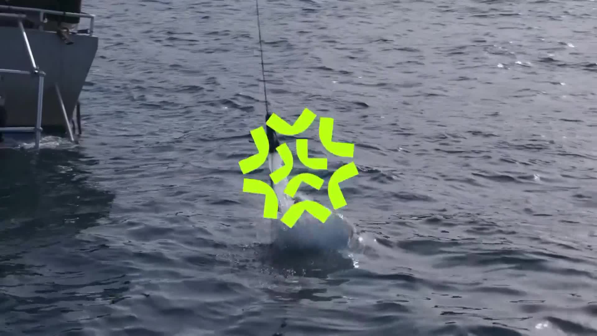 ViasatNature