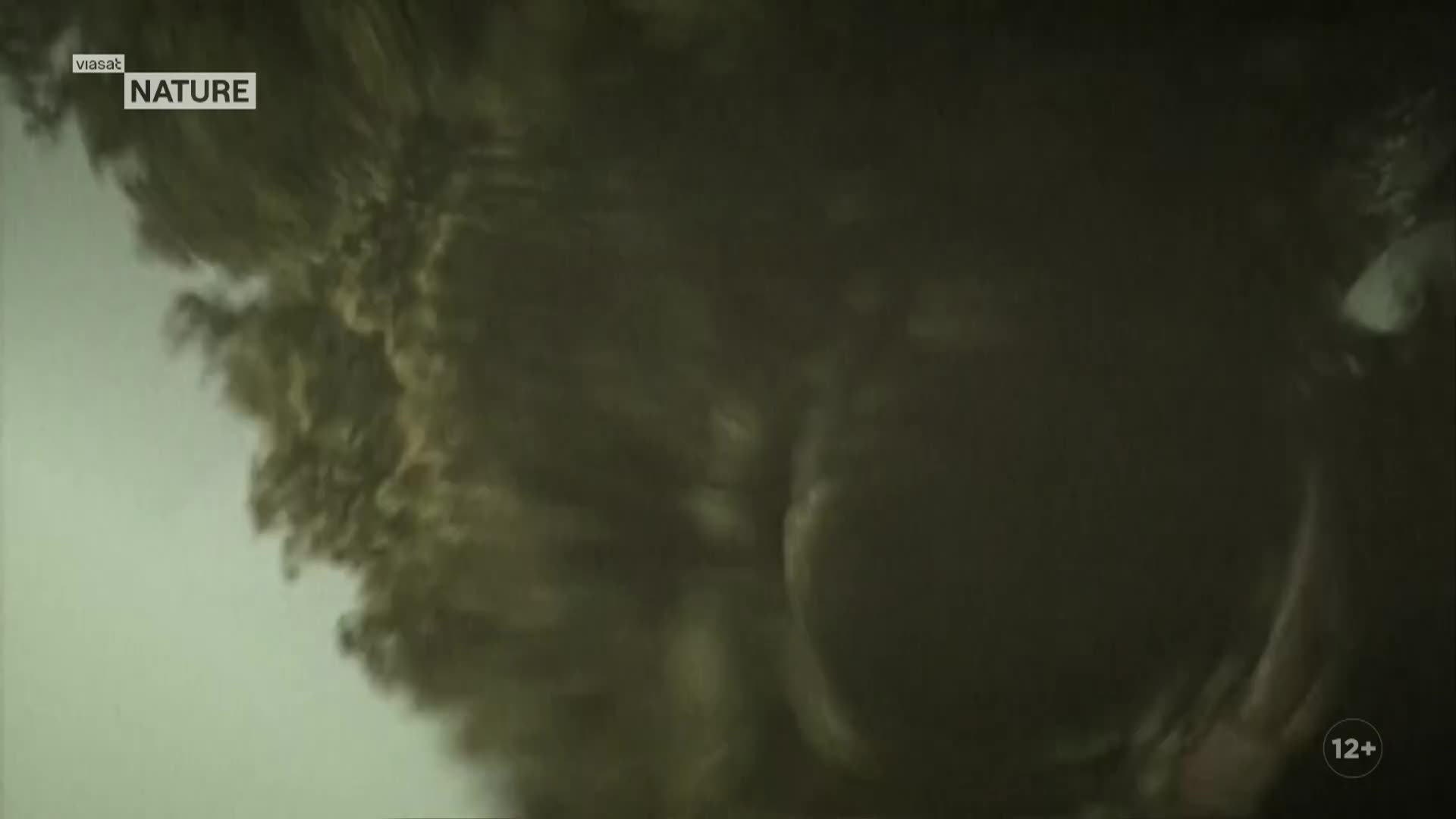 ViasatNature