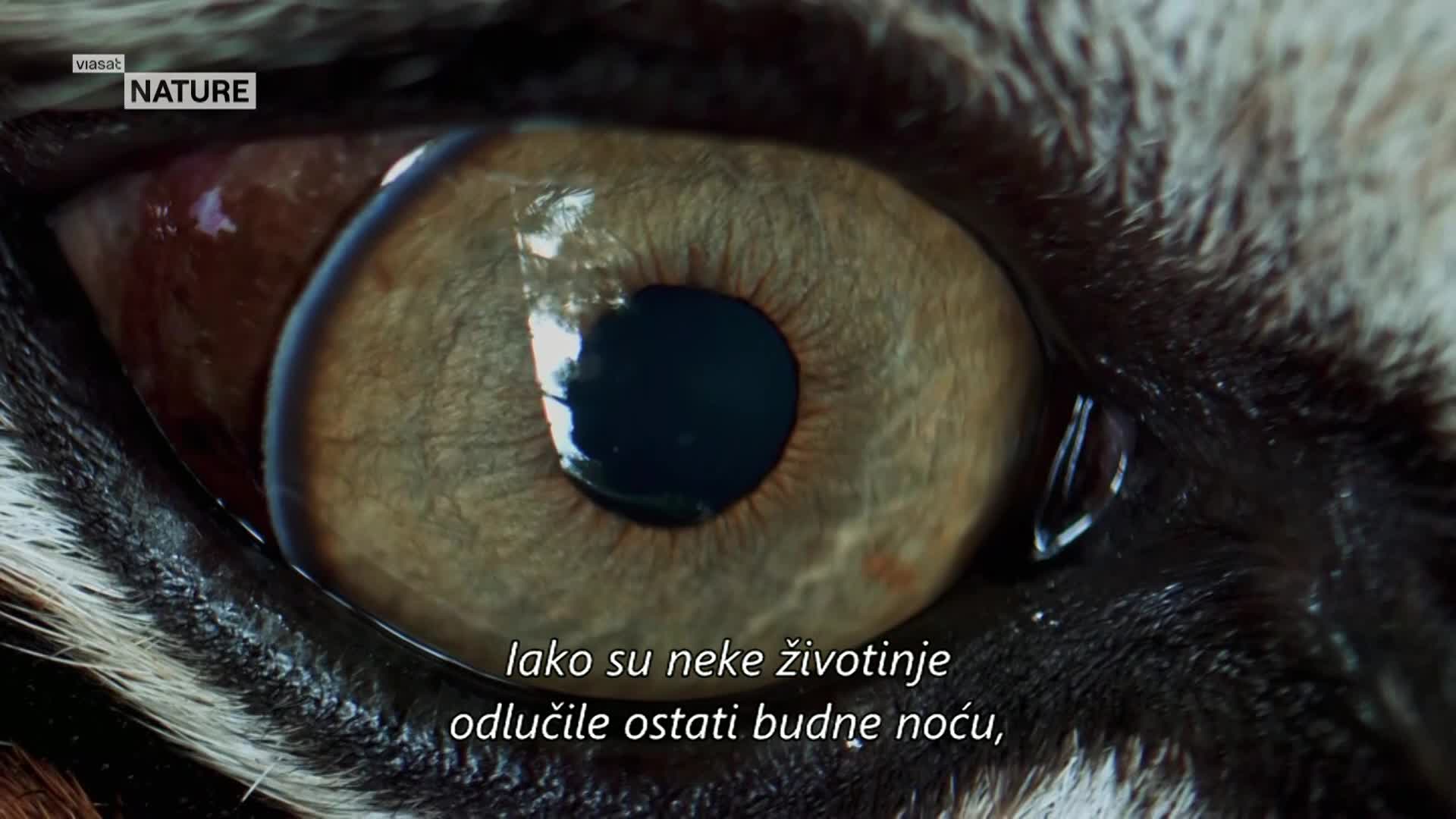 ViasatNature