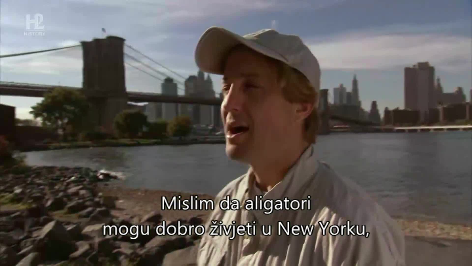 History2