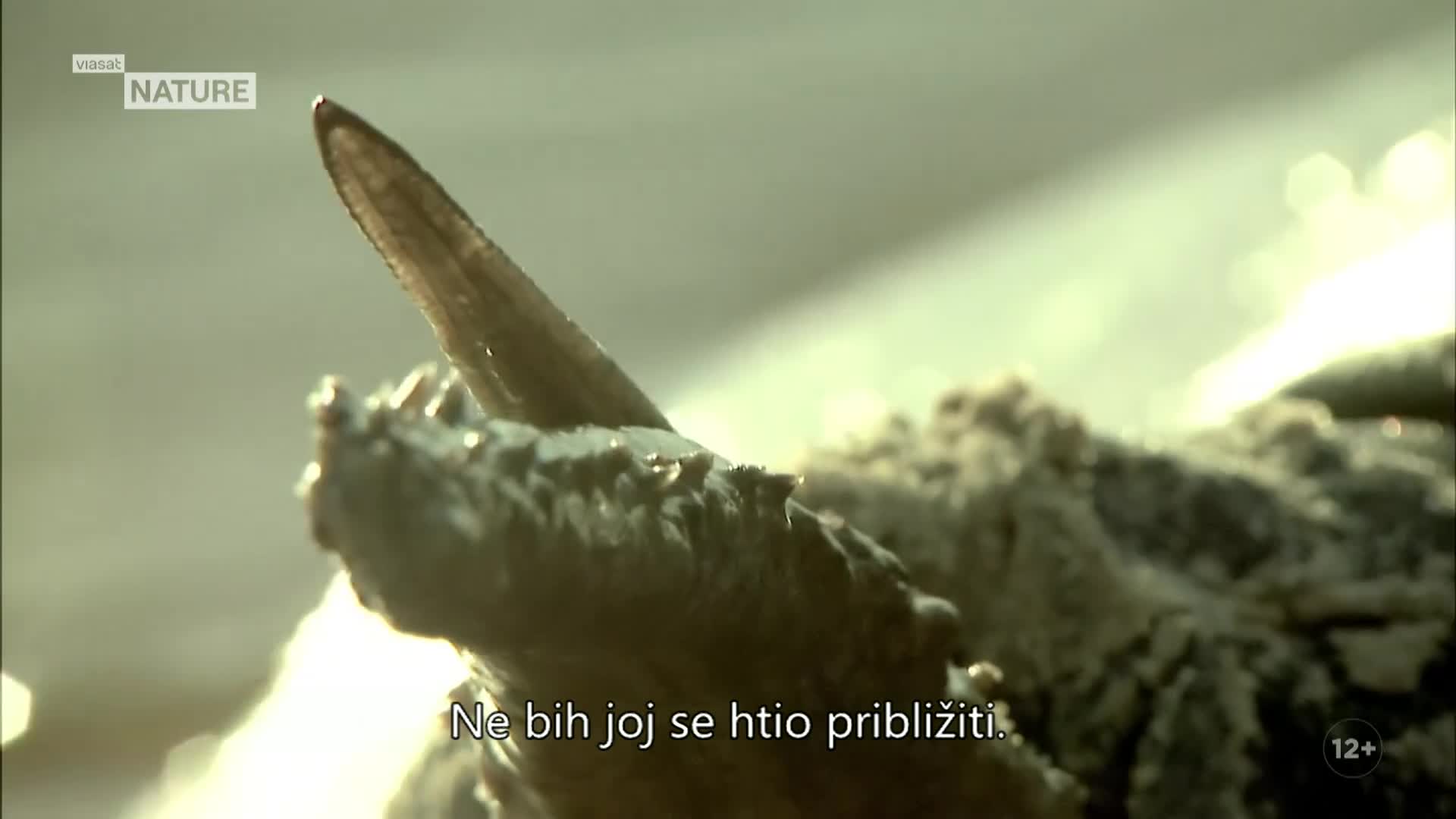 ViasatNature