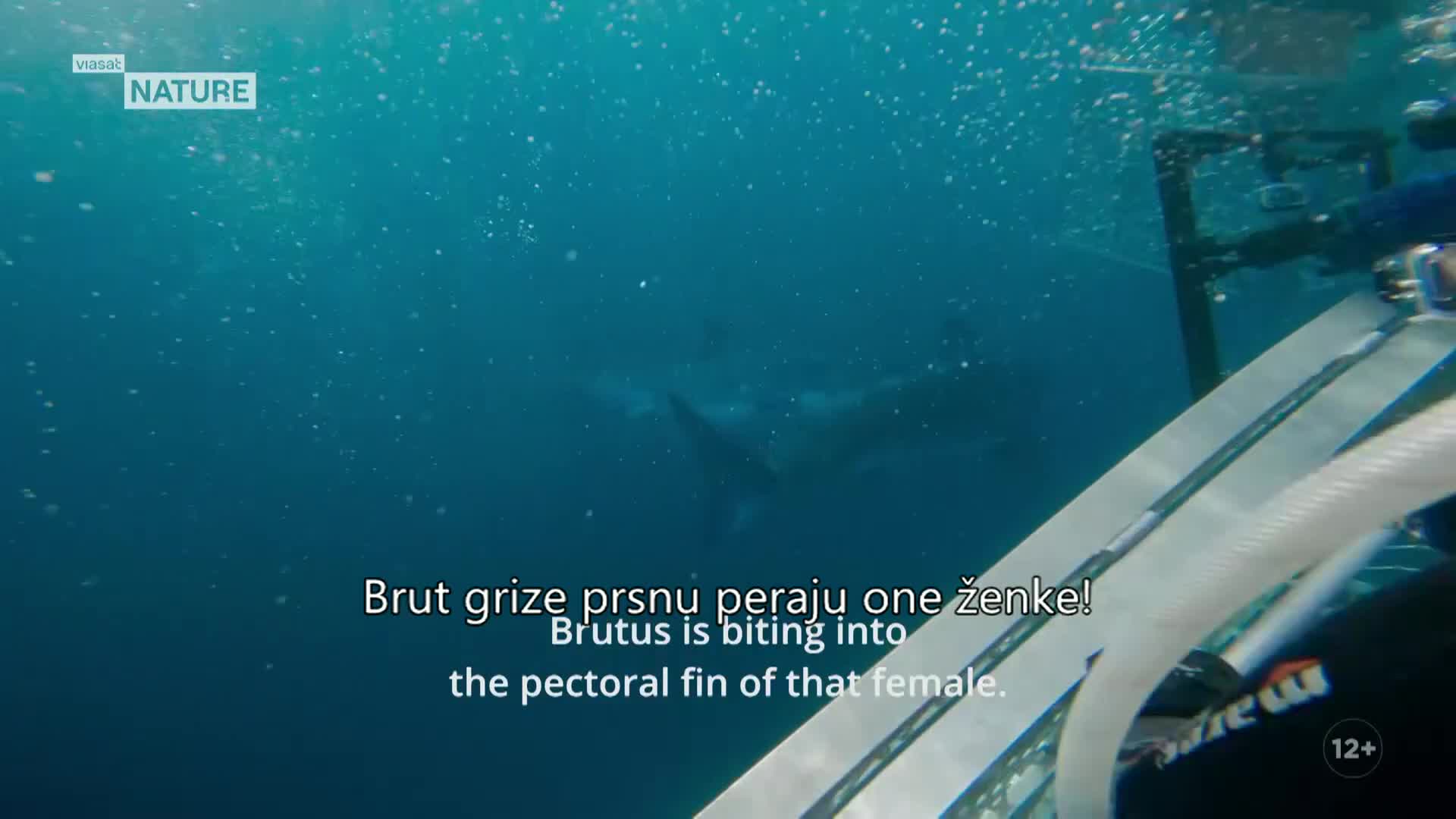ViasatNature