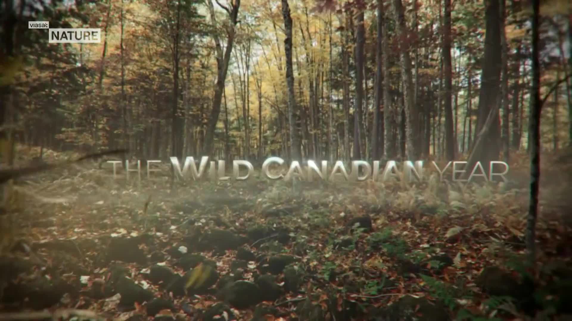 ViasatNature