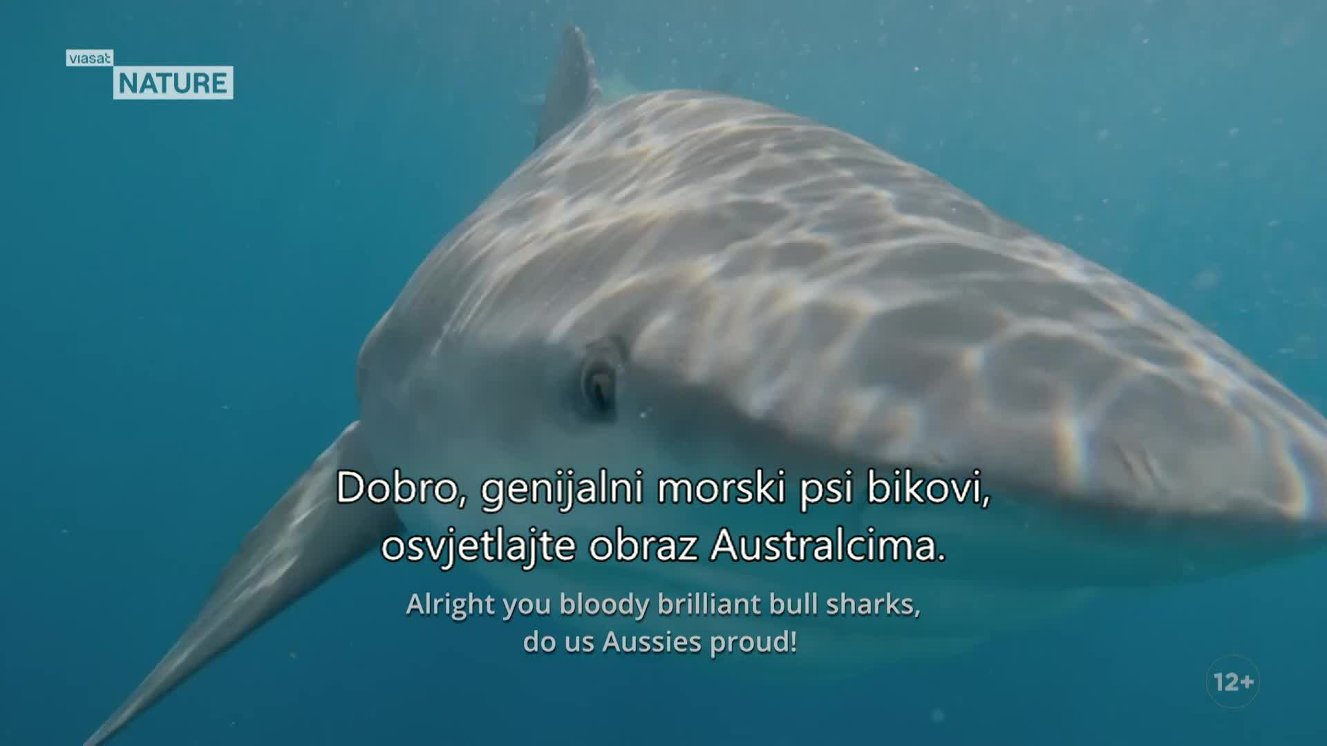 ViasatNature
