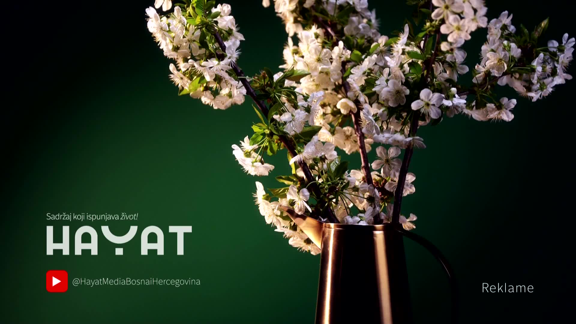 hayat