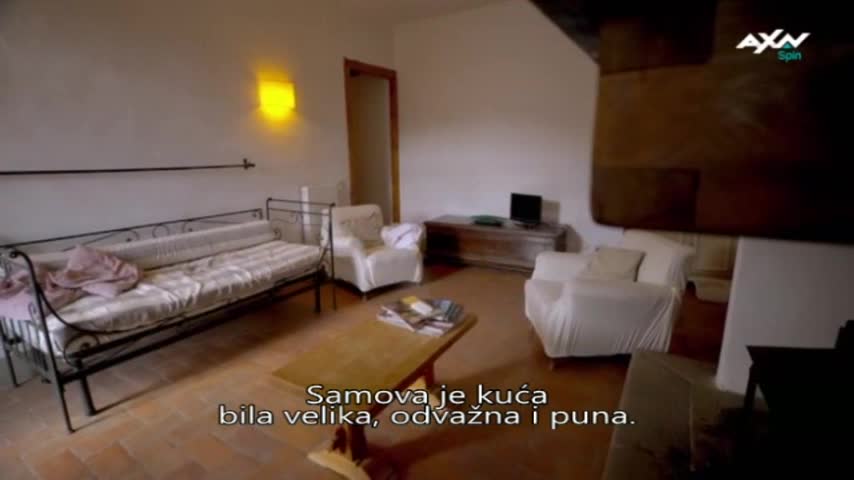 AXNSpin