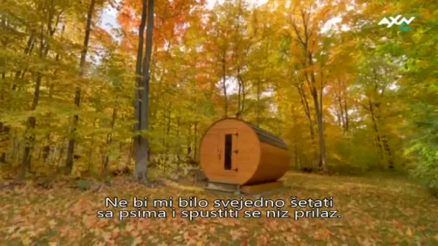 AXNSpin