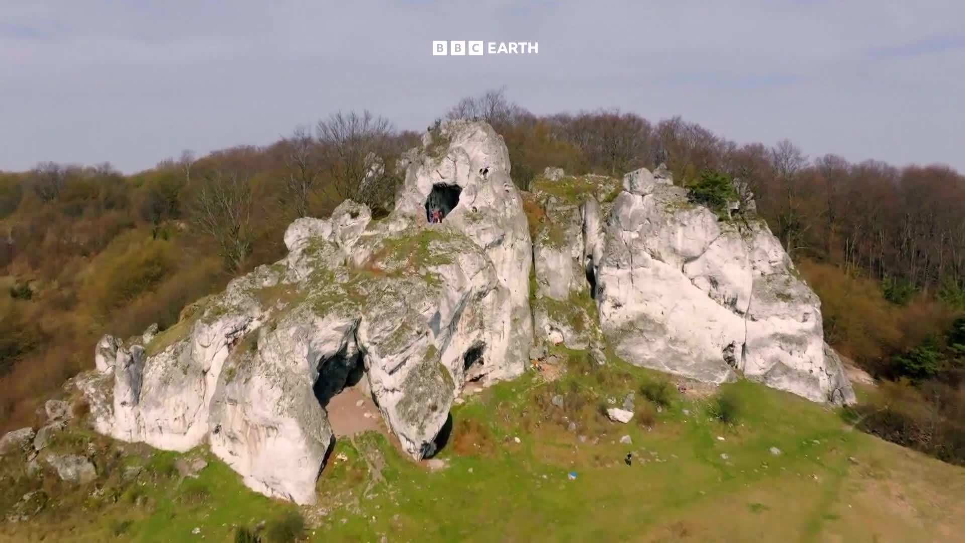 BBCEarth