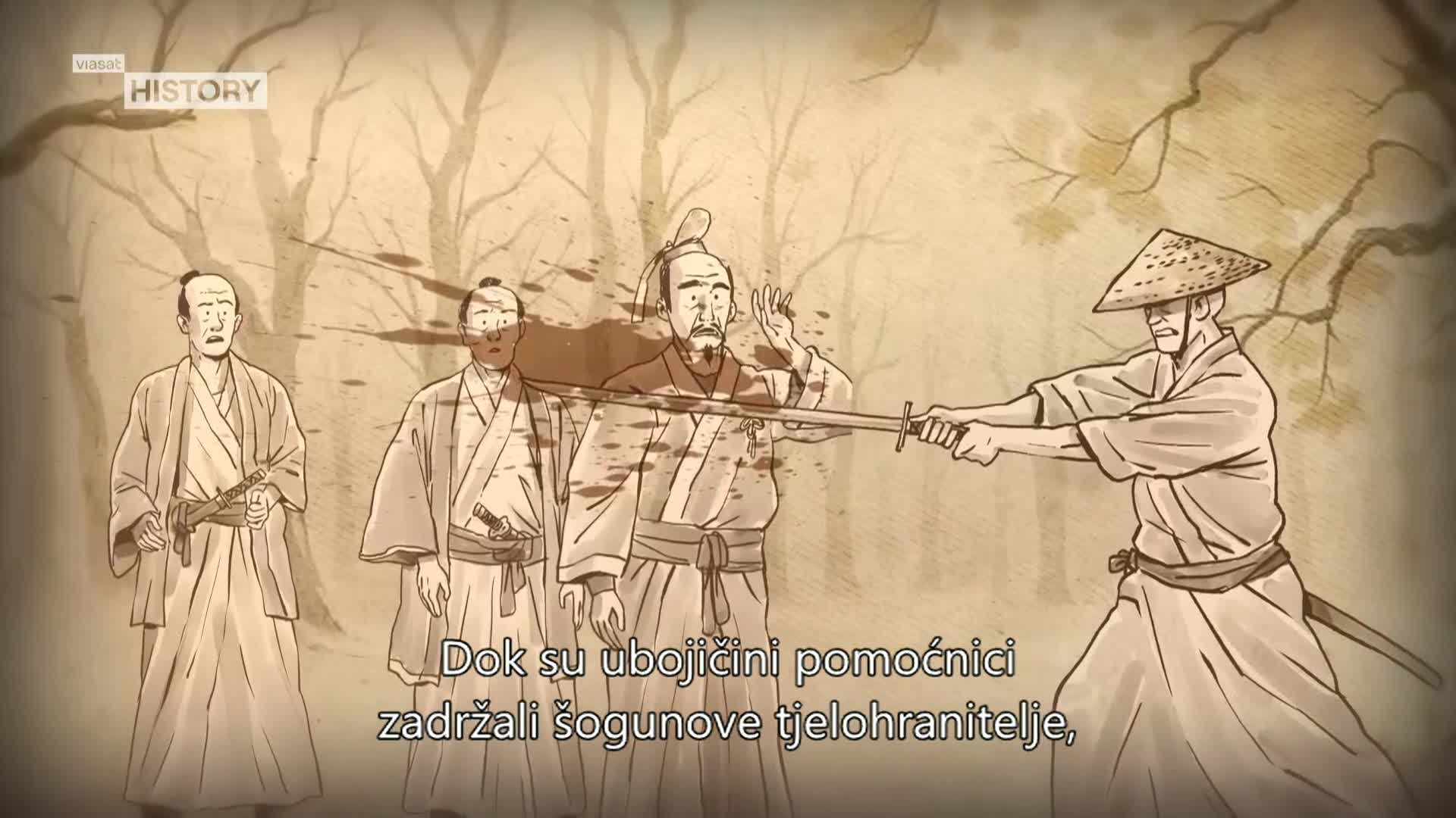 ViasatHistory