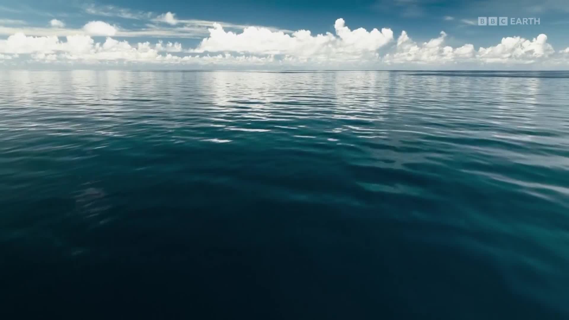 BBCEarth