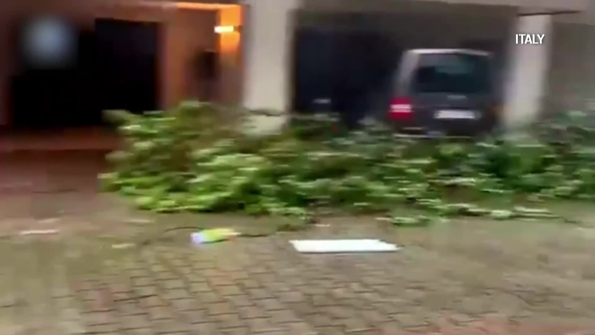 HappyTV