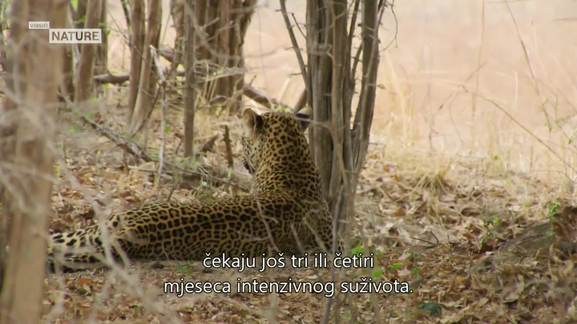 ViasatNature