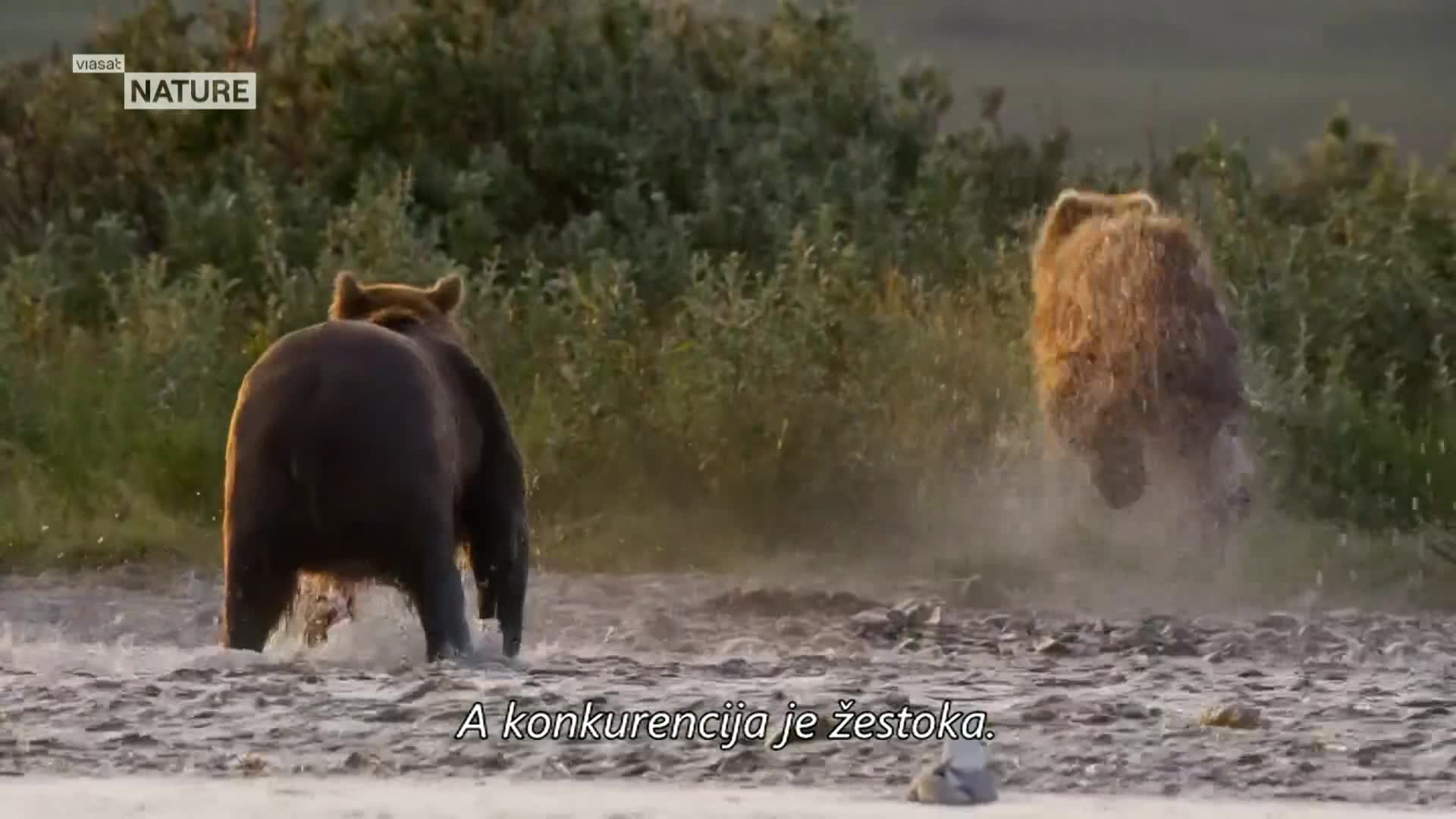ViasatNature