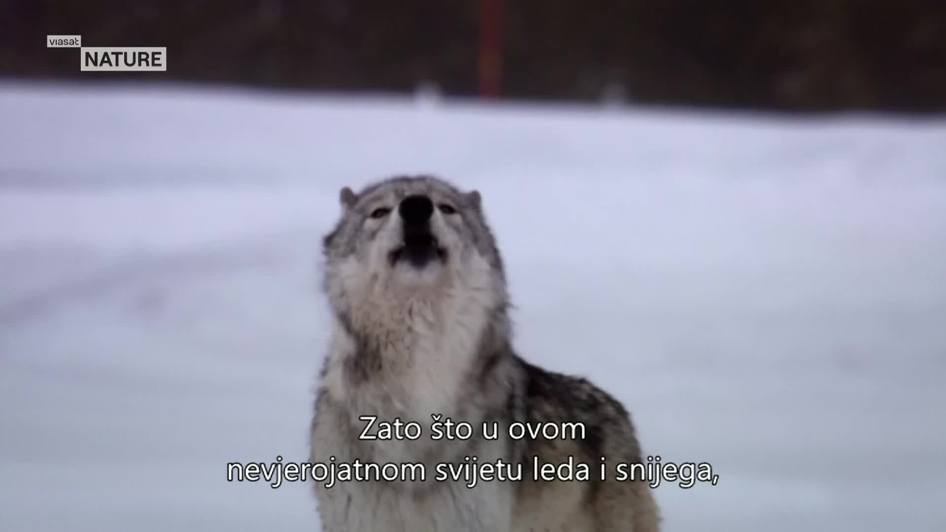 ViasatNature