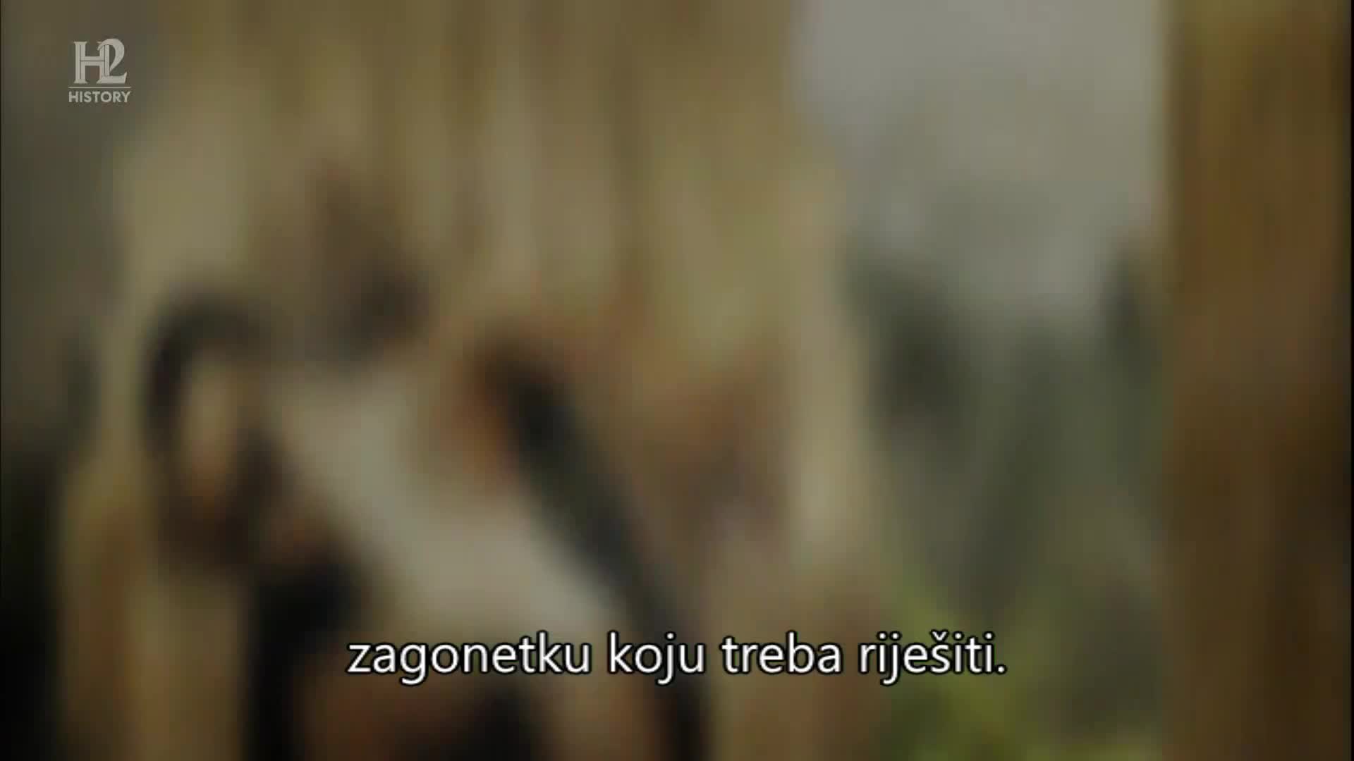 History2
