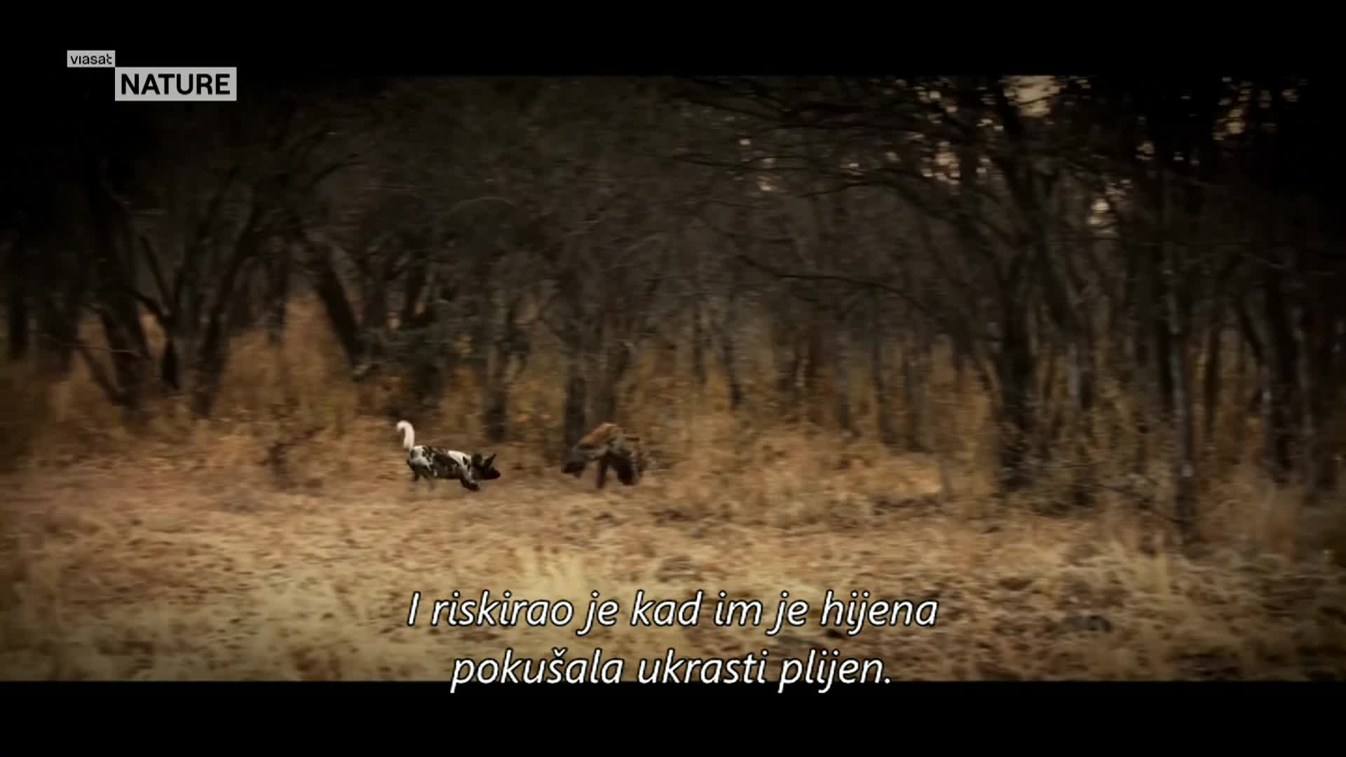 ViasatNature