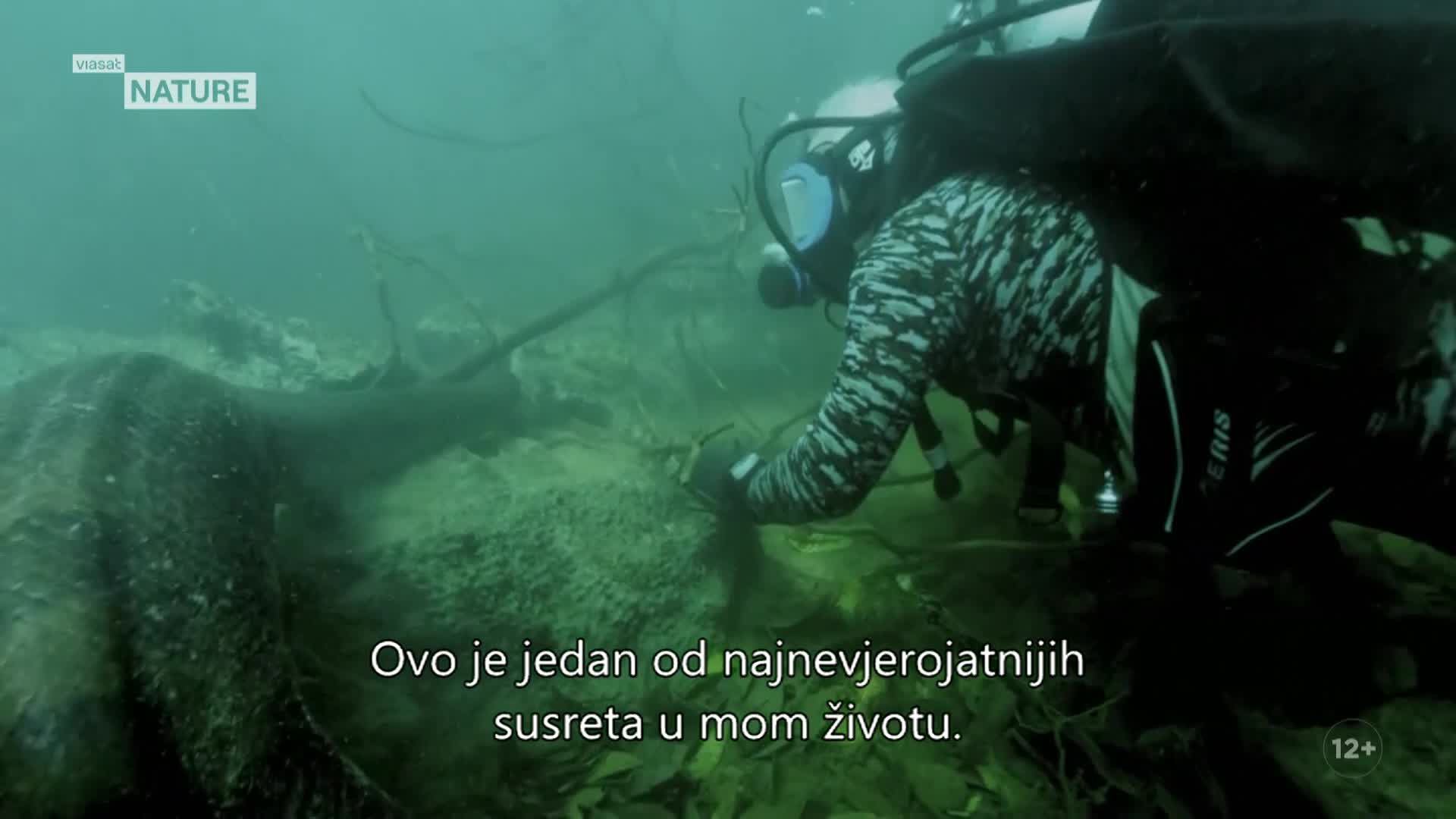 ViasatNature