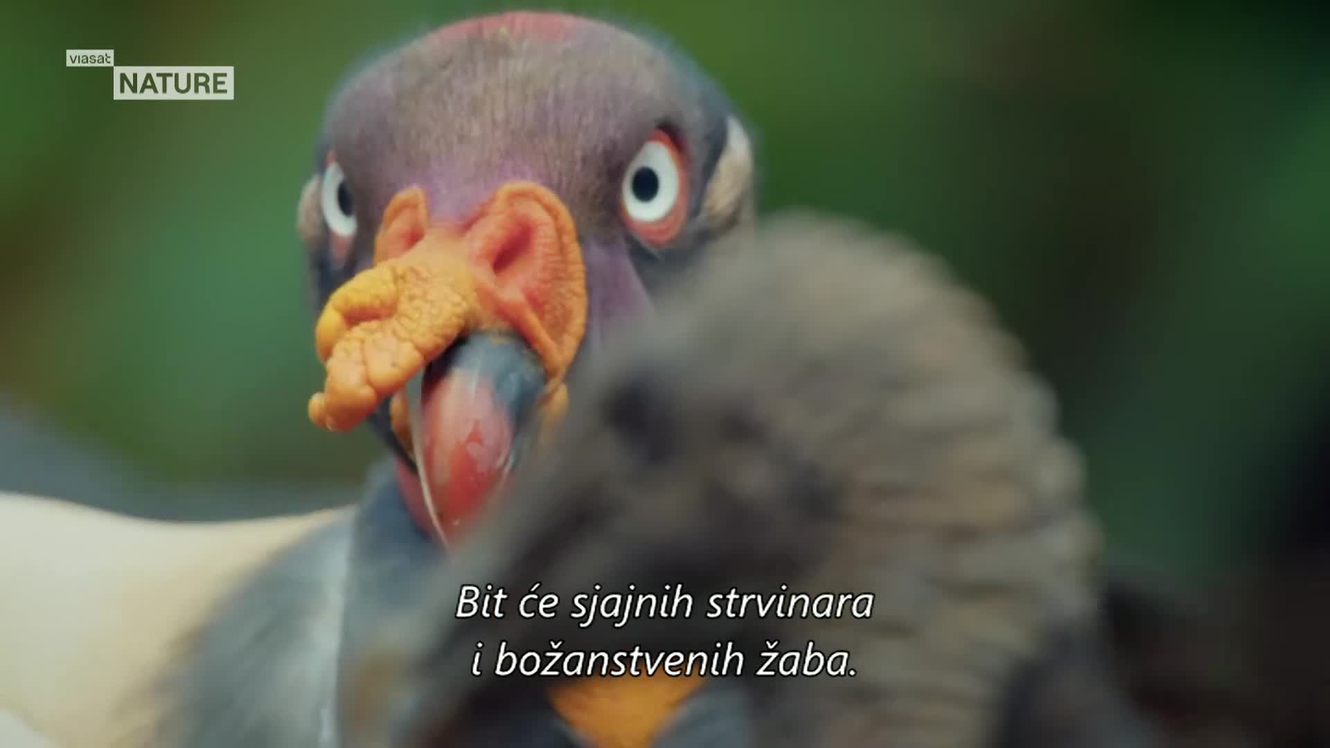 ViasatNature