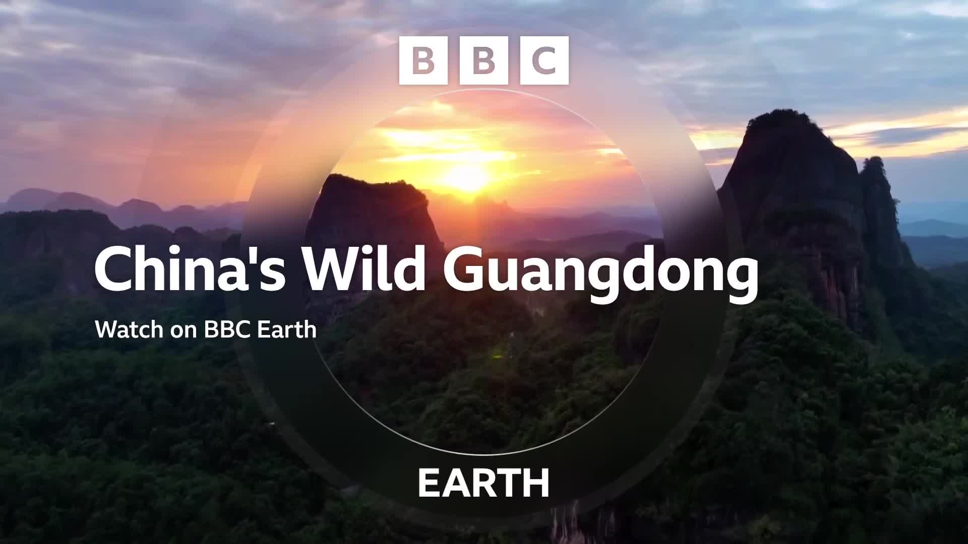 BBCEarth