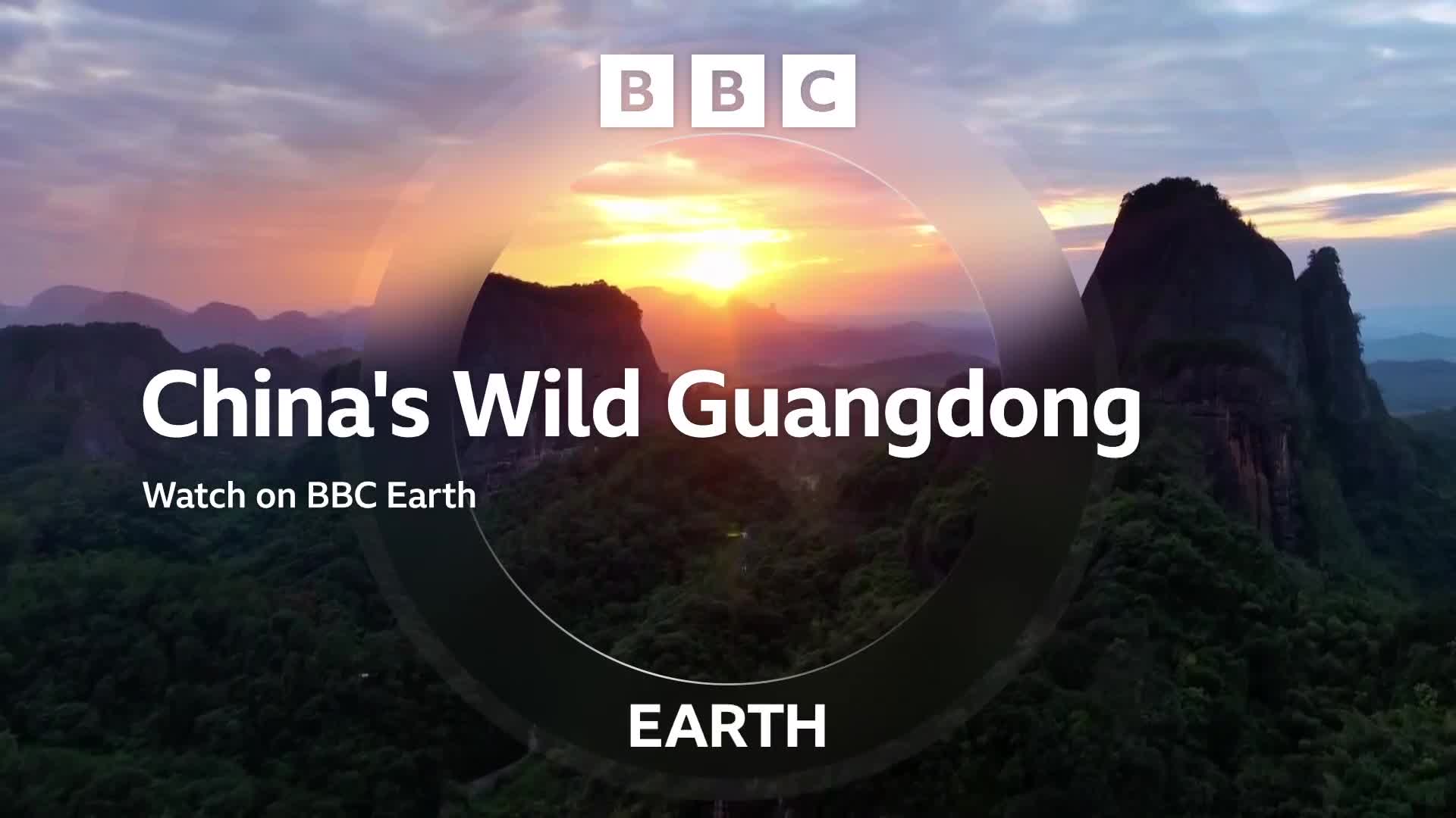 BBCEarth