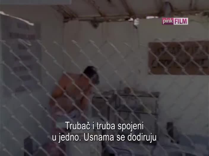 PinkFilm