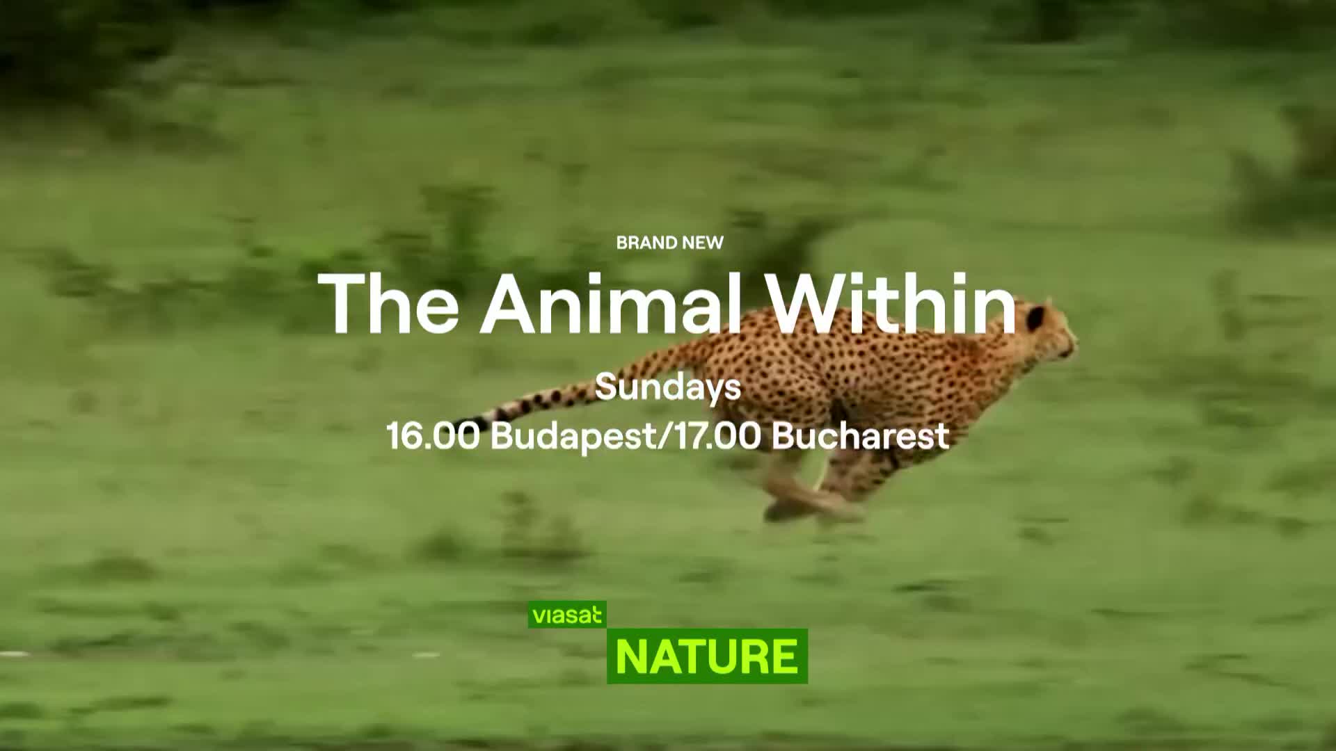 ViasatNature