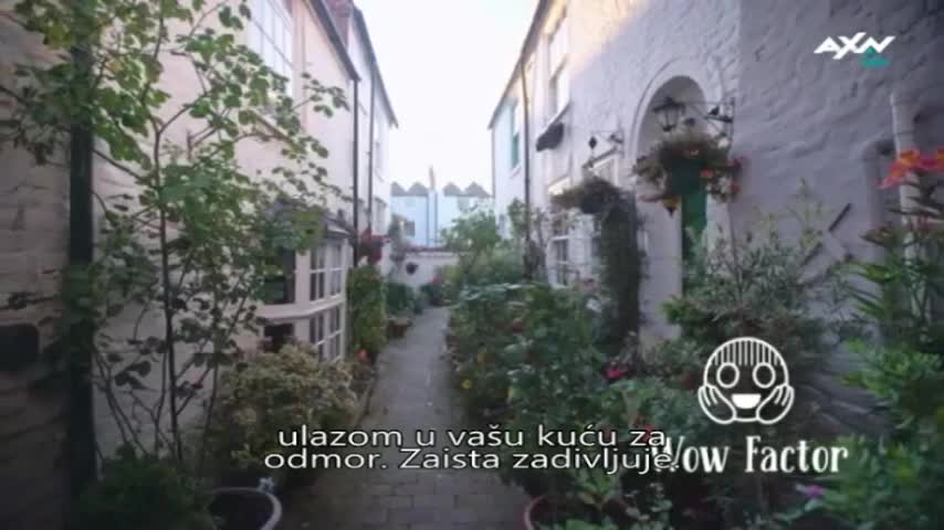 AXNSpin