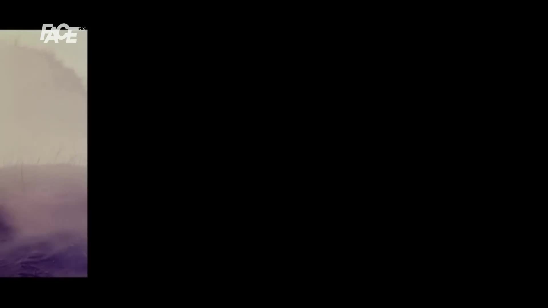 FaceTV