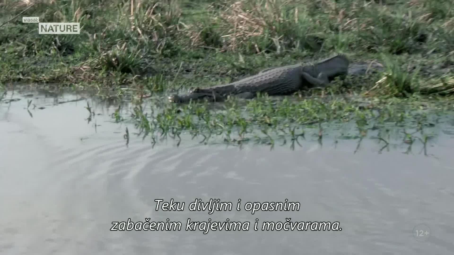 ViasatNature