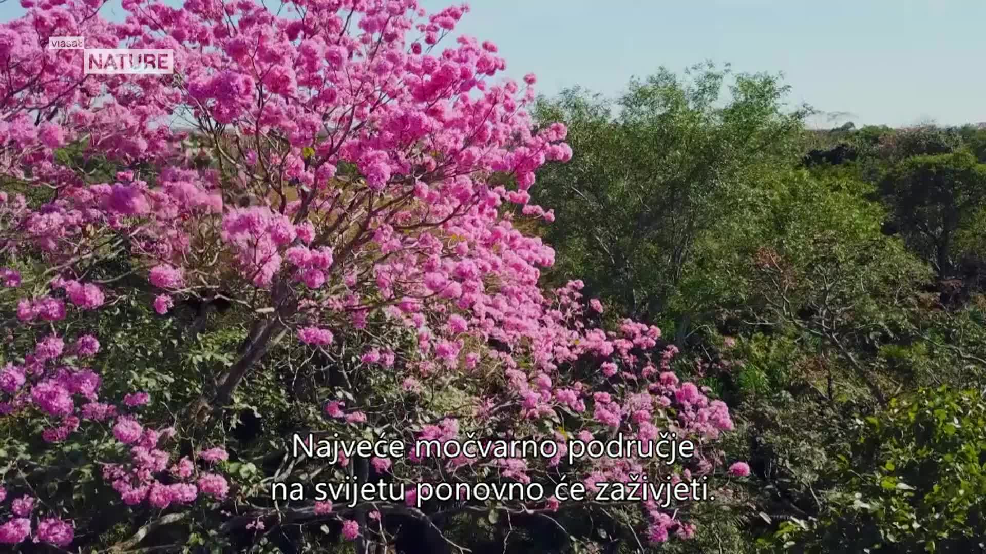 ViasatNature
