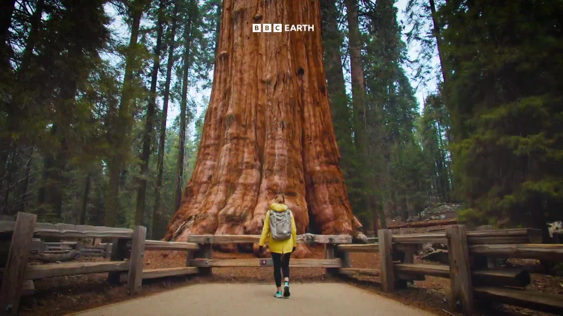 BBCEarth