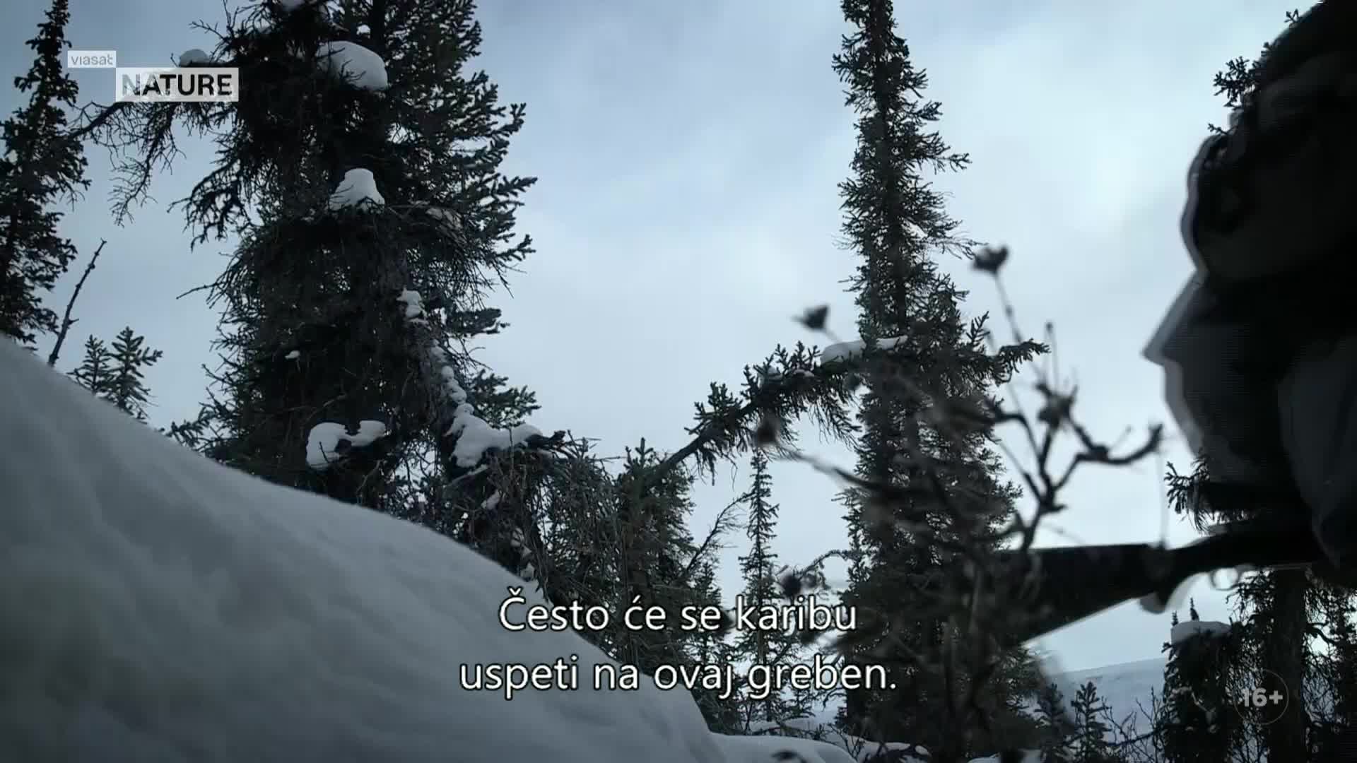 ViasatNature