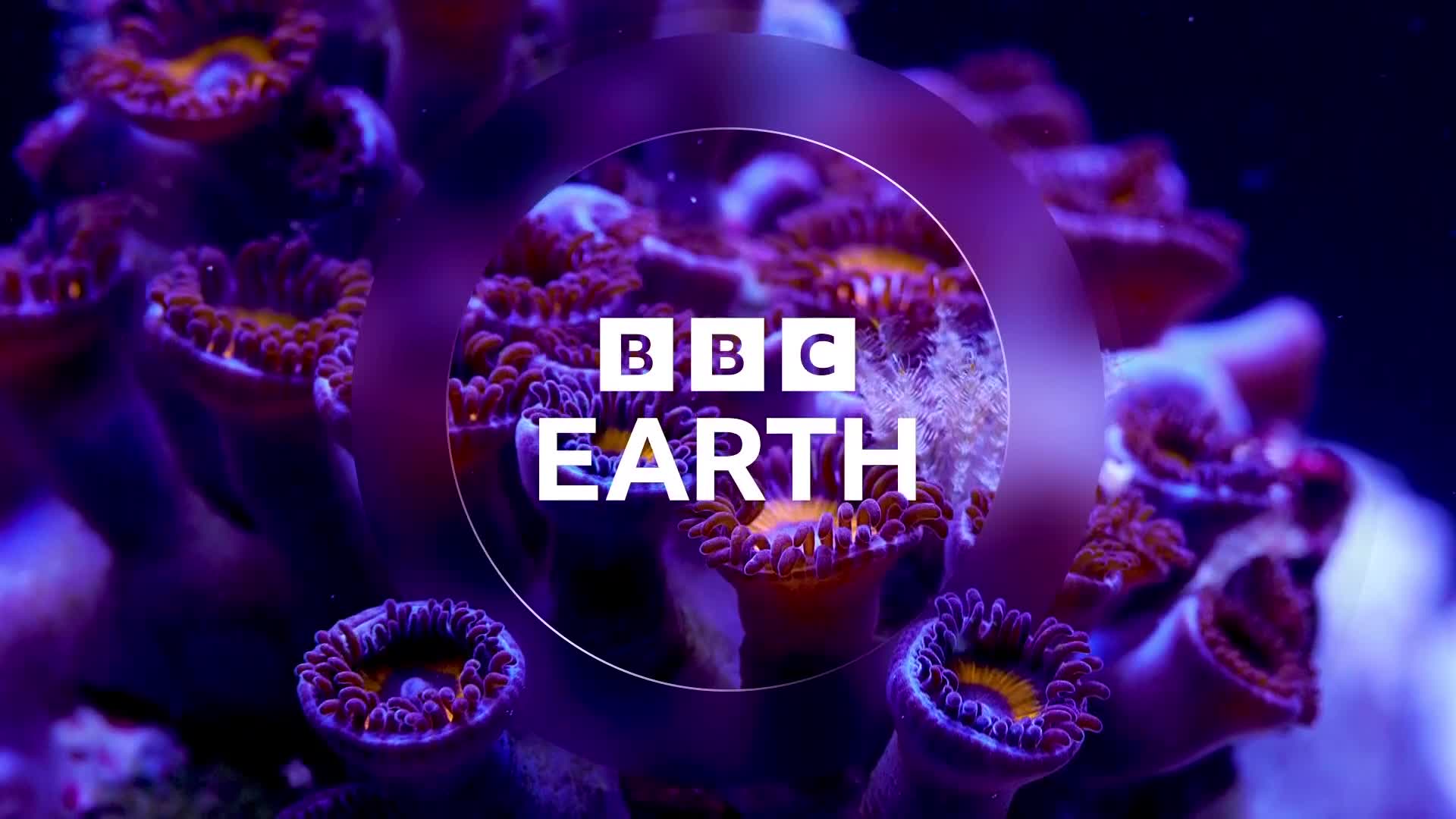 BBCEarth