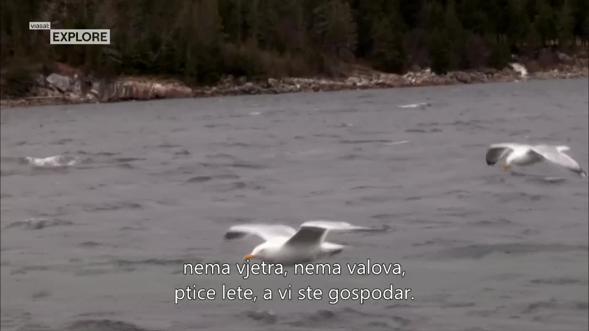 ViasatExplore