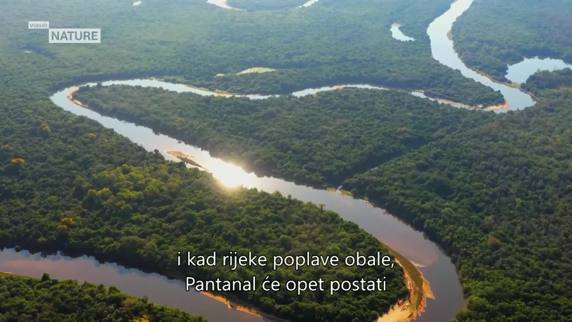 ViasatNature