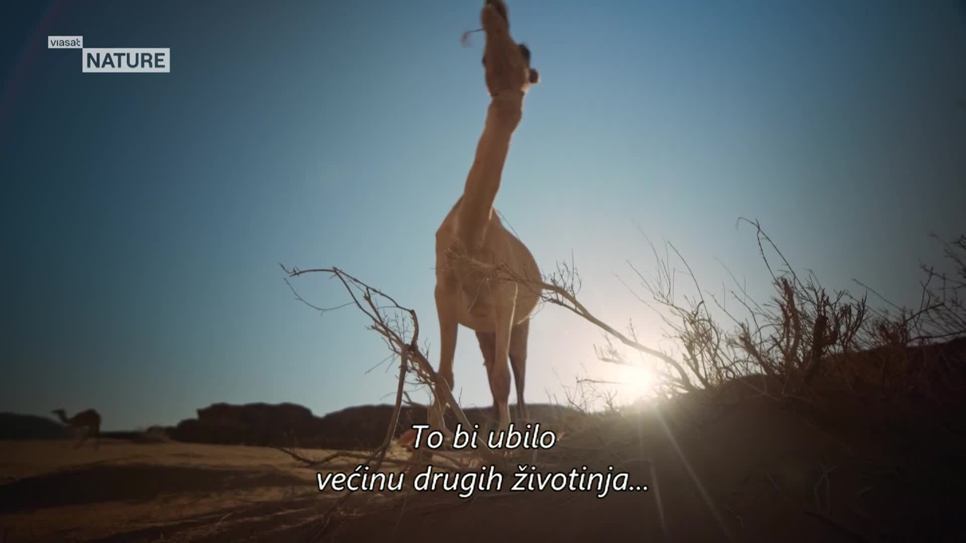 ViasatNature